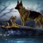 Profile Picture of Adam Popik (@adam.popik.583) on Facebook