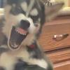 Profile Picture of Ryan Kellner (@ryankellner) on Tiktok