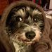 Profile Picture of Pam Ash Kemper (@pam.a.kemper) on Facebook