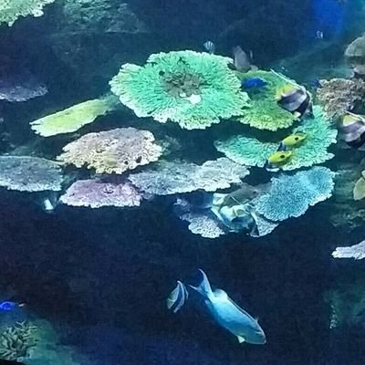 Profile Picture of Chetana Patel (@ChetnaP43659424) on Twitter