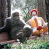 Profile Picture of Greg Sims (@BigHairyBeast) on Flickr