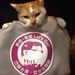 Profile Picture of Fang Yeh (@iaphongsum) on Pinterest