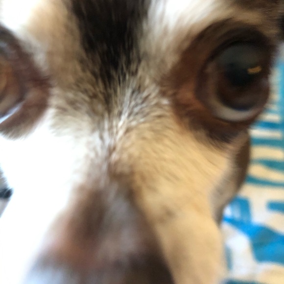 Profile Picture of Kaitlin Chreng (@kaitlin_chreng) on Poshmark