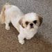 Profile Picture of Debbi Arsenault (@debbia24) on Pinterest