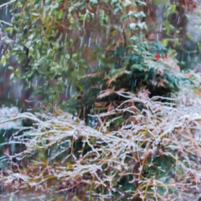 Profile Picture of Larry Riddick (@LarryRiddick19) on Twitter