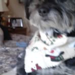 Profile Picture of Audrey Ferrante (@audrey.ferrante.12) on Facebook