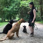 Profile Picture of ChrisTina Stutz (@tkarneol) on Instagram