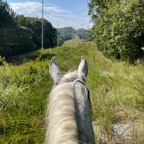 Kate Ludwig - Poshmark Profile Picture of Kate Ludwig (@kate_ludwig) on Poshmark