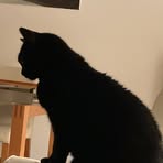 Profile Picture of Laura Martinelli (@due.campane) on Facebook