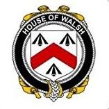 Profile Picture of Jody Walsh  🇨🇦 🍺 🇨🇦 (@JodyWal38609898) on Twitter