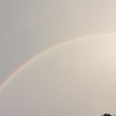 Profile Picture of Pui San (@puisan721) on Twitter