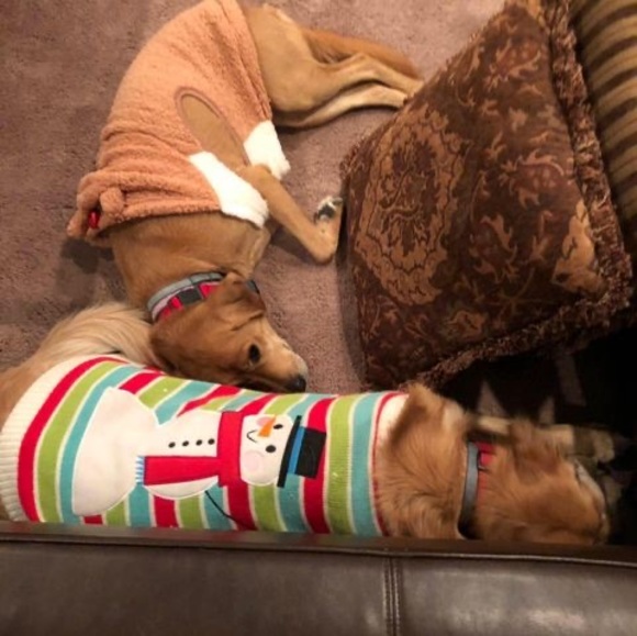 Profile Picture of Mark Farrington (@markfarringt177) on Poshmark