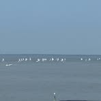 Profile Picture of Robert Hart (@Robert-Hart) on Facebook