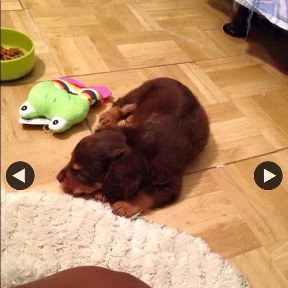 Profile Picture of Danielle Hendricks (@danielle050198) on Poshmark