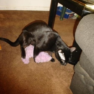 Profile Picture of Ed Barrett (@297028901) on Myspace