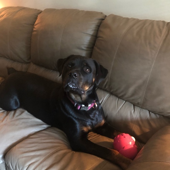 Profile Picture of Tammy Epperson (@tepperson18) on Poshmark