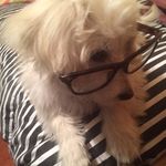 Profile Picture of Tommy Barrera Flores (@tommy_coton) on Instagram