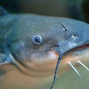 Profile Picture of Spencer Walters (@spencerwalters888) on Youtube