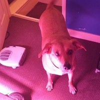 Profile Picture of Liam Mcguinness (@liam-mcguinness-5) on Quora