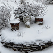 Profile Picture of Ron Phillips (@ronphillips6803) on Youtube