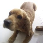 Profile Picture of cuauhtémoc diaz minor (@cuauhtemocdiazminor) on Instagram