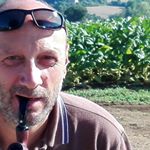 Profile Picture of Andrea Pascucci (@fiammadire2016) on Instagram