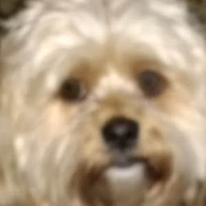 Profile Picture of David McCoon (@@davidmccoon) on Tiktok