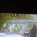 Profile Picture of Kade Stevenson (@kade.stevenson.5268) on Facebook