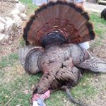 Profile Picture of Lonnie Plummer (@plummerlonnie) on Instagram