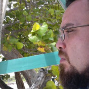 Profile Picture of Michael Link (@mikelinkbze) on Youtube