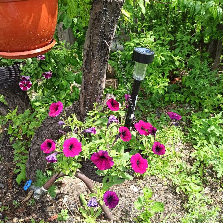 Profile Picture of Татьяна Яковлева (@tatyanayakovleva35) on Tiktok