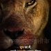 Profile Picture of Umang Shah (@umang.shah.39982631) on Facebook