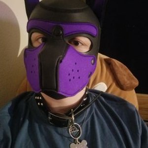 Profile Picture of Toby Rodgerson Twitter