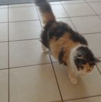 Profile Picture of Bob Bilbrey (@bob.bilbrey.3) on Facebook