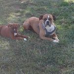 Profile Picture of Hunter holladay (@hunter_holladay) on Instagram