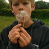 Profile Picture of David luc (@@lushe124578) on Tiktok