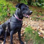 Profile Picture of lacey clayton (@lacey_clayton101xx) on Instagram