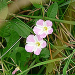 Profile Picture of Mister T Riley (@Mister T Riley) on Flickr