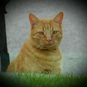 Profile Picture of Rusty Wolfe (@MrClay57) on Youtube