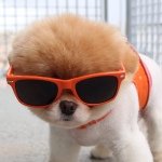 Profile Picture of Darren Barg (@hector7824) on Instagram