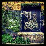 Leisha Casey - Instagram Profile Picture of Leisha Casey (@v.oslpettifork) on Instagram