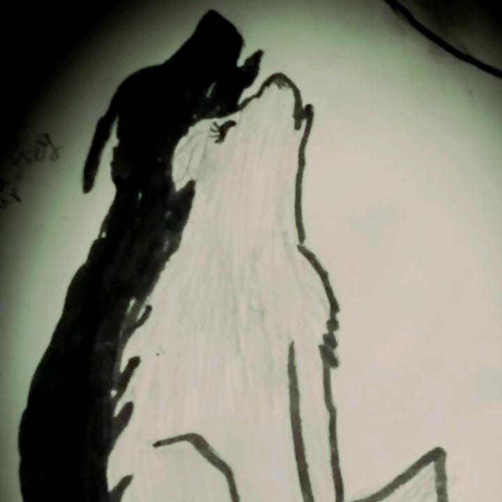 Profile Picture of Dusktheultamawolf (@dusktheultamawolf) on Tiktok