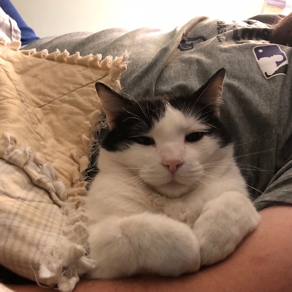 Profile Picture of Rachael Parmely (@rachley1023) on Poshmark