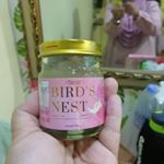 Profile Picture of Ida Annona Bird Nest (@idaannonabirdnest) on Instagram