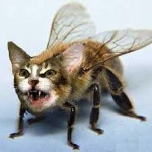 Profile Picture of Jasper Smith (@whaleclan) on Myspace