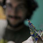 Profile Picture of Joshua Croteau (@ethichedon) on Instagram