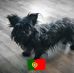 Profile Picture of Carlos Dorego (@carlos.dorego.353) on Facebook