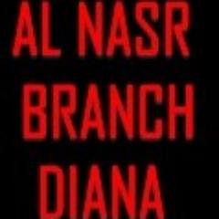 Profile Picture of Al Nasr Branch Diana (@diamonds1962) on Twitter