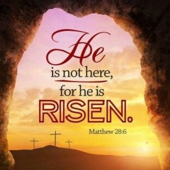 Profile Picture of Cheryl Best (@cherylbest07) on Poshmark