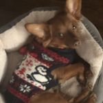 Profile Picture of Laura Switalsku (@lswsmile1) on Instagram